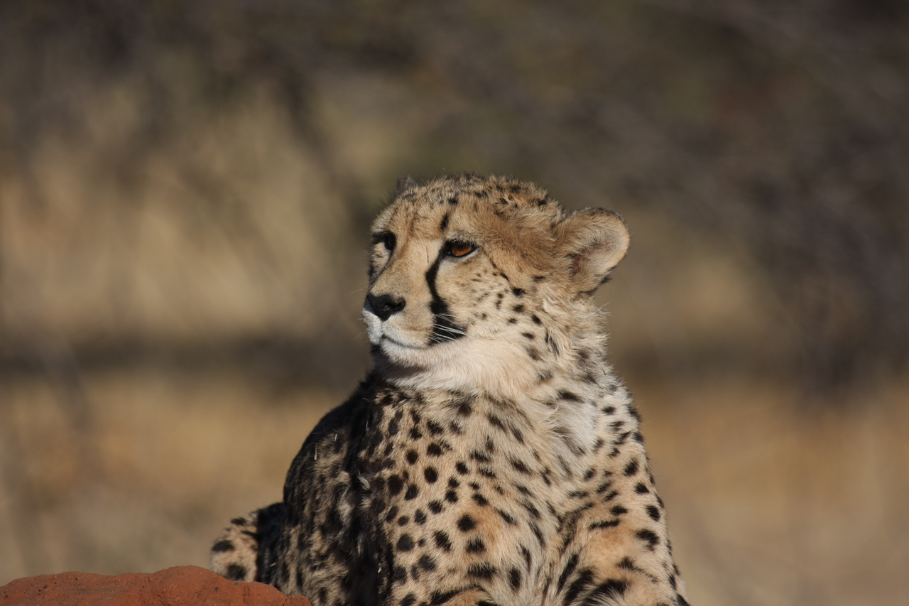 [6924] 2016_06_23_11_03_20_Africa_Canon_EOS_40D_IMG__01372.jpg