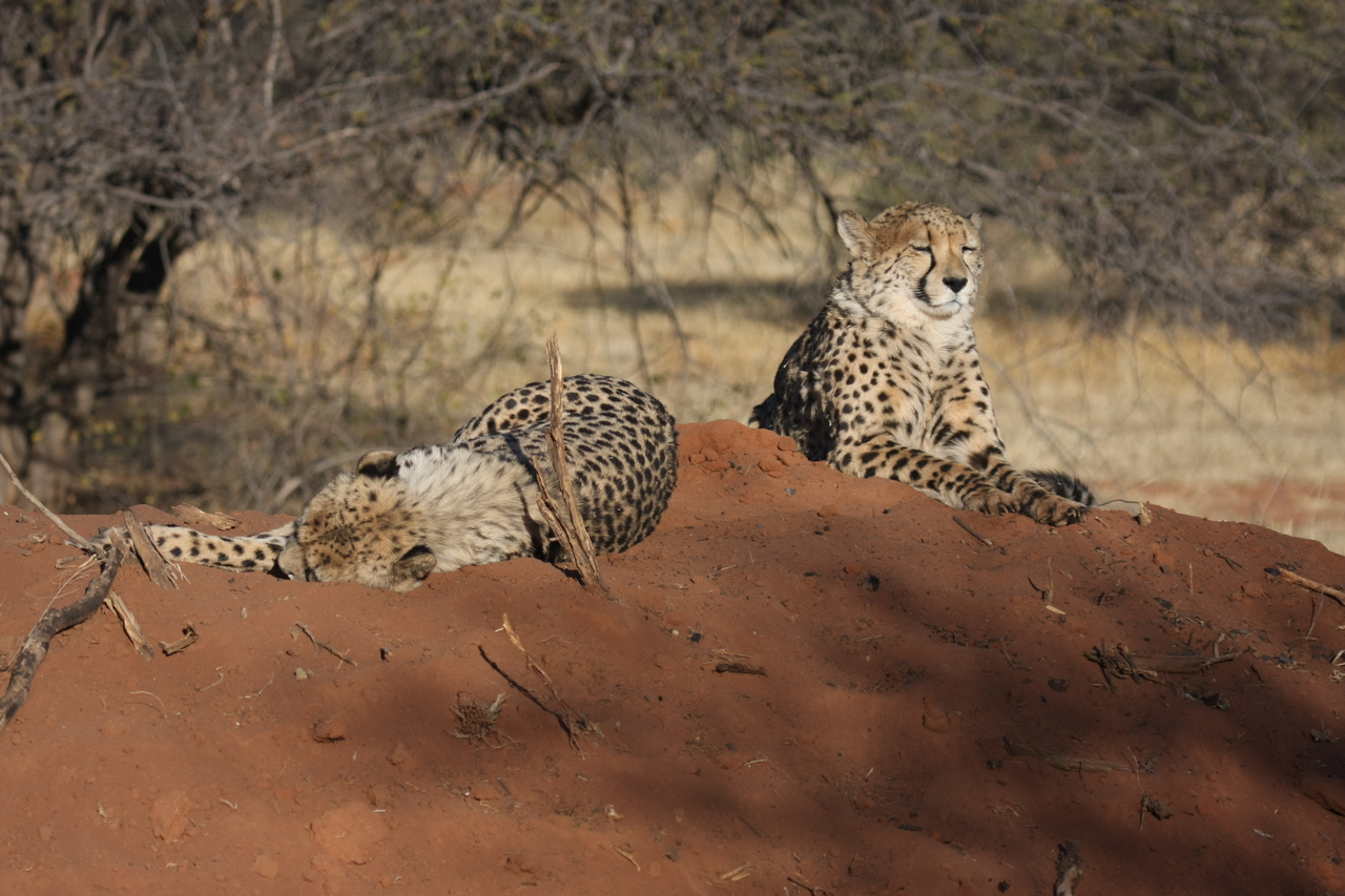 [7016] 2016_06_23_11_08_21_Africa_Canon_EOS_40D_IMG__00567.jpg