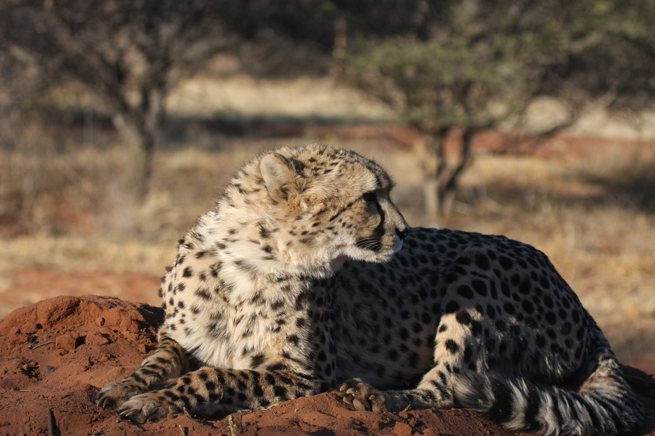 [7065] 2016_06_23_11_13_20_Africa_Canon_EOS_40D_IMG__00582.jpg