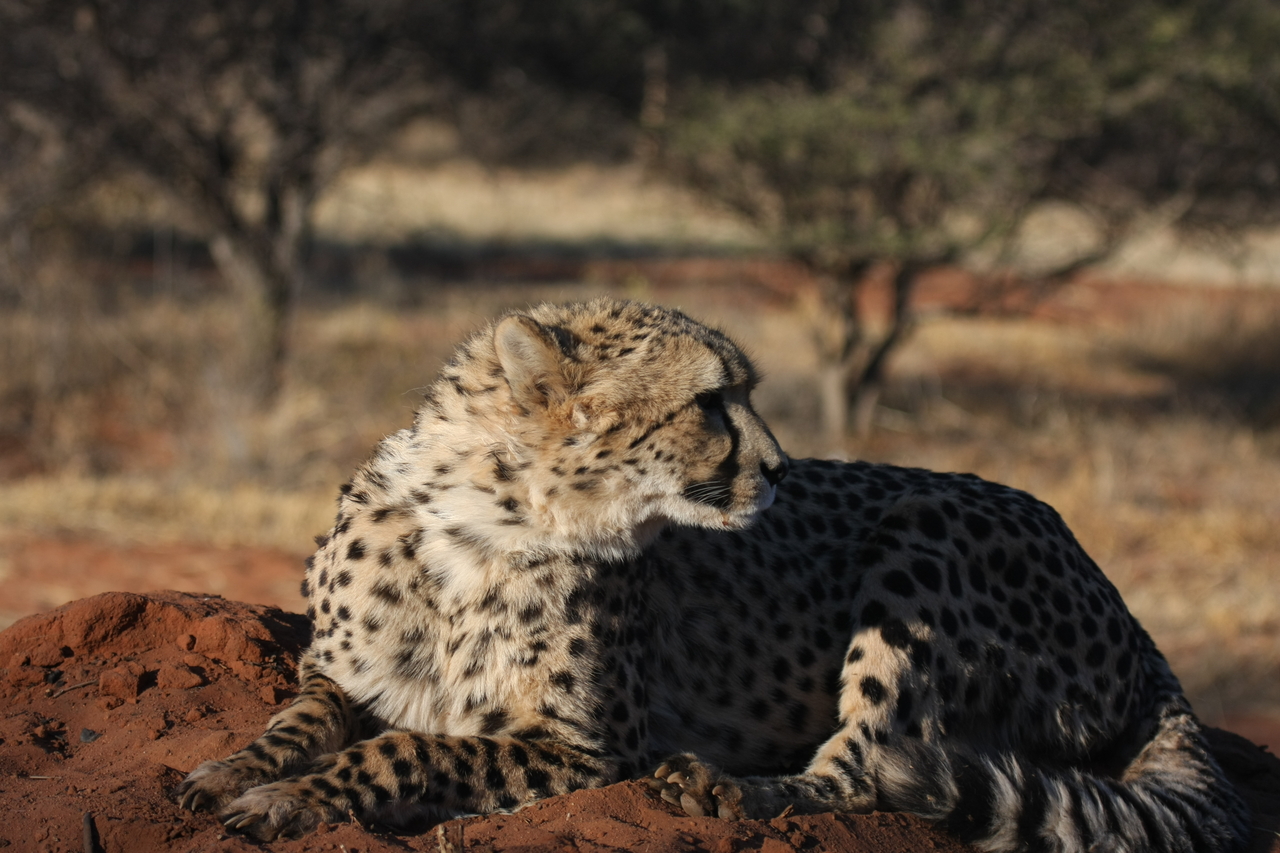 [7073] 2016_06_23_11_13_23_Africa_Canon_EOS_40D_IMG__01418.jpg