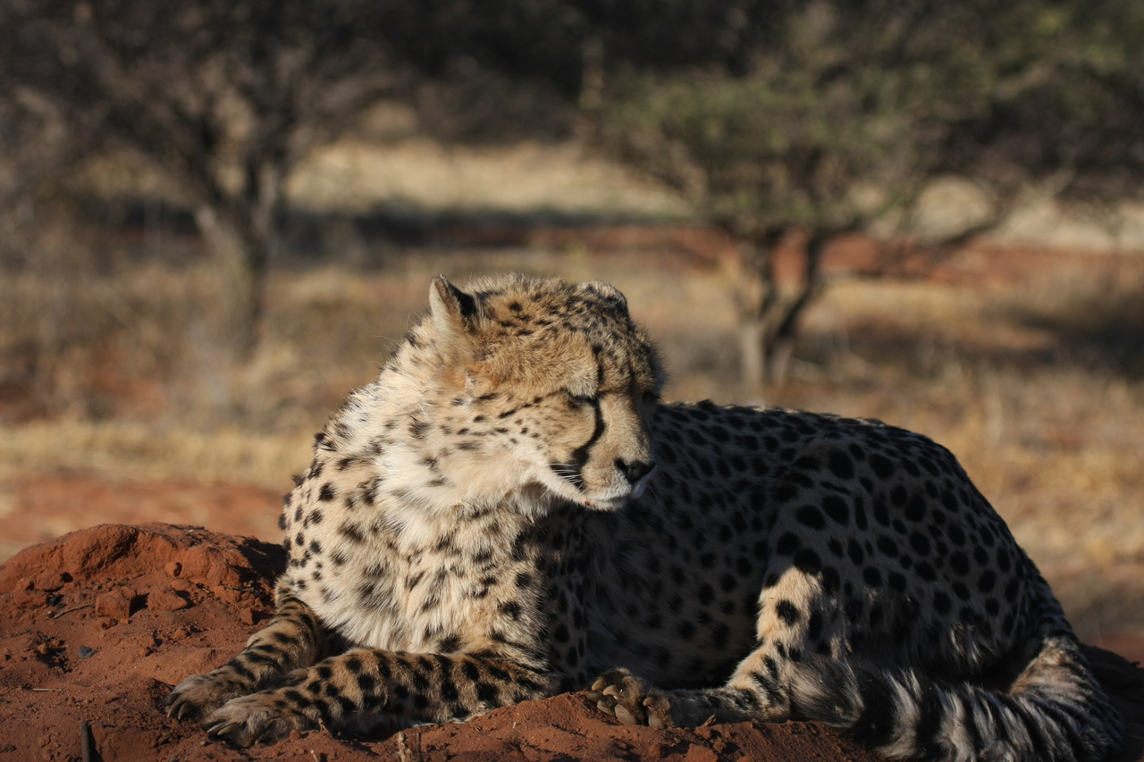 [7074] 2016_06_23_11_13_23_Africa_Canon_EOS_40D_IMG__01419.jpg