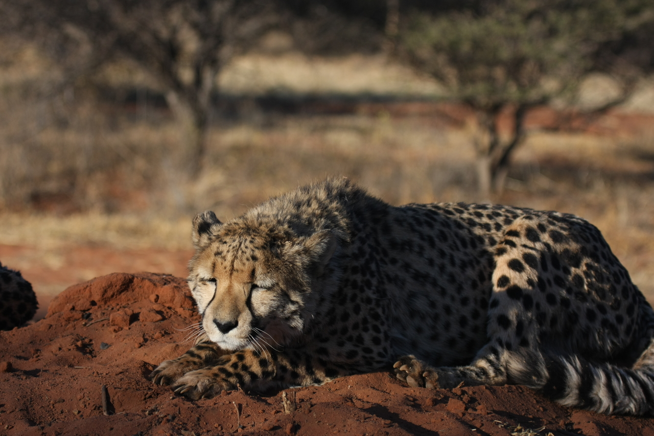 [7080] 2016_06_23_11_13_24_Africa_Canon_EOS_40D_IMG__01421.jpg