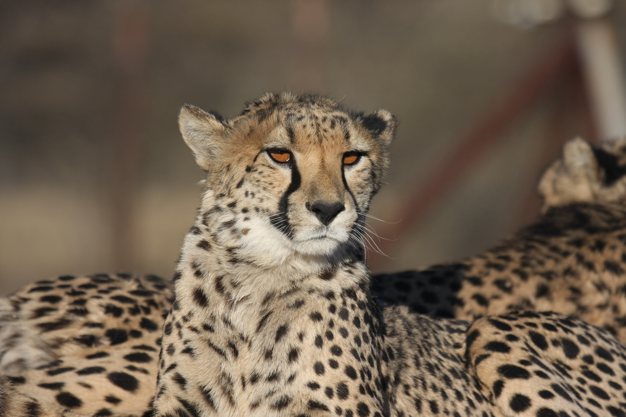 [7138] 2016_06_23_11_19_53_Africa_Canon_EOS_40D_IMG__01428.jpg