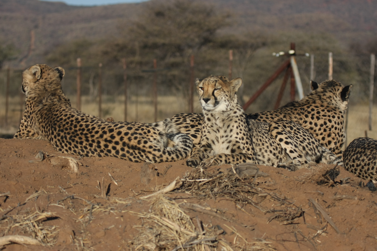 [7154] 2016_06_23_11_20_35_Africa_Canon_EOS_40D_IMG__01432.jpg