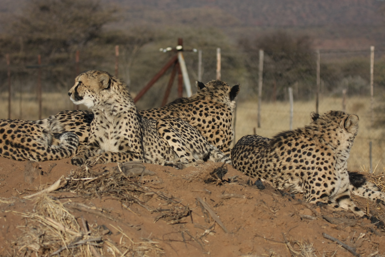 [7167] 2016_06_23_11_20_41_Africa_Canon_EOS_40D_IMG__00602.jpg