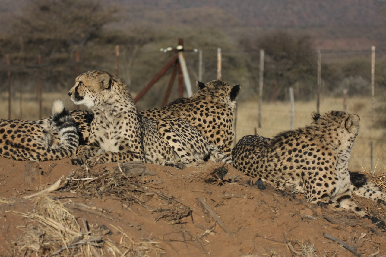 [7174] 2016_06_23_11_20_41_Africa_Canon_EOS_40D_IMG__08884.jpg