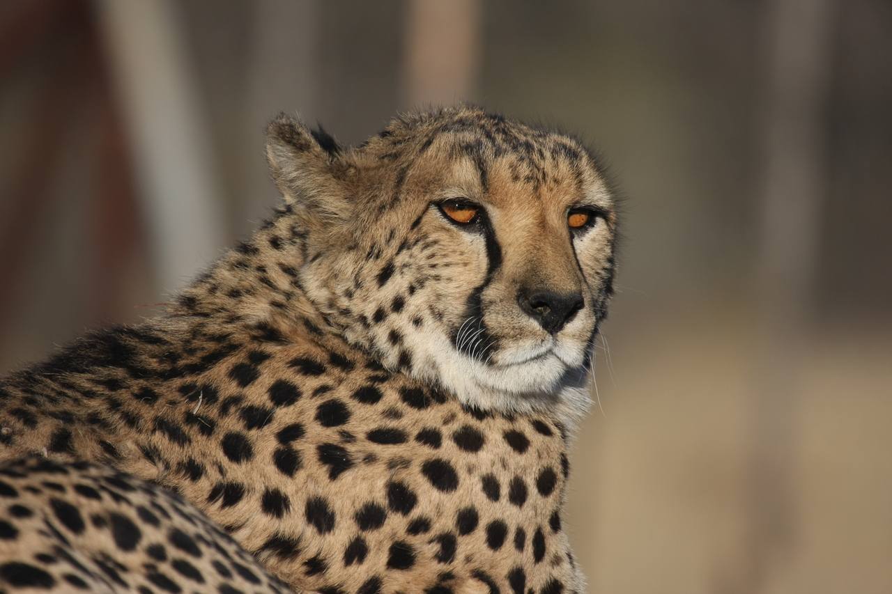 [7185] 2016_06_23_11_21_03_Africa_Canon_EOS_40D_IMG__08887.jpg