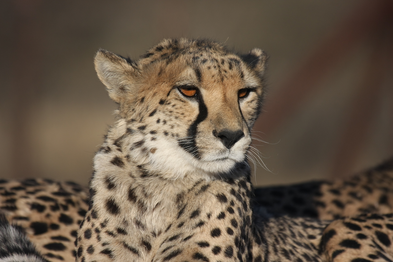 [7189] 2016_06_23_11_21_09_Africa_Canon_EOS_40D_IMG__00610.jpg