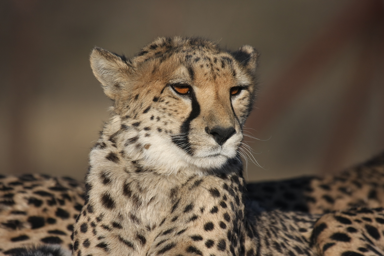 [7191] 2016_06_23_11_21_09_Africa_Canon_EOS_40D_IMG__01443.jpg