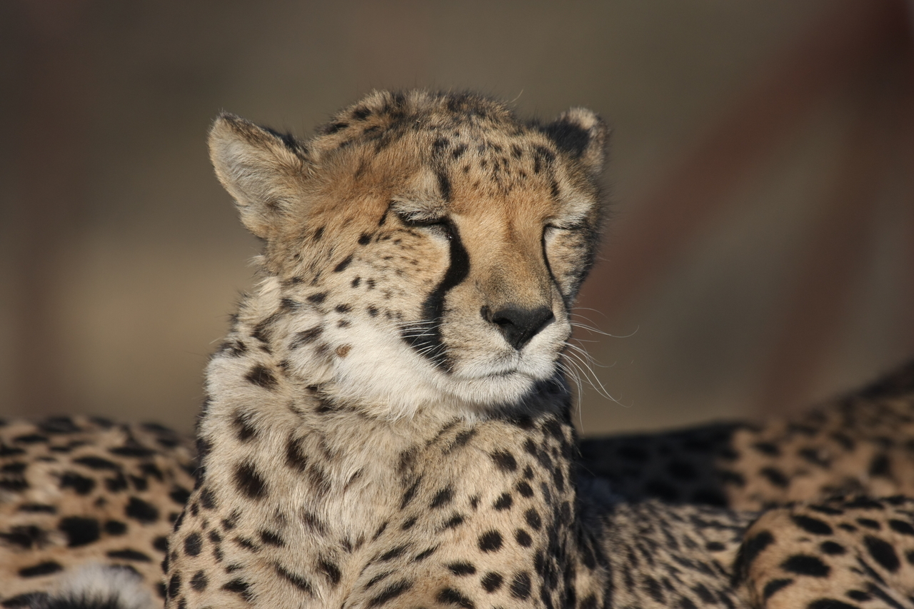 [7193] 2016_06_23_11_21_09_Africa_Canon_EOS_40D_IMG__08889.jpg