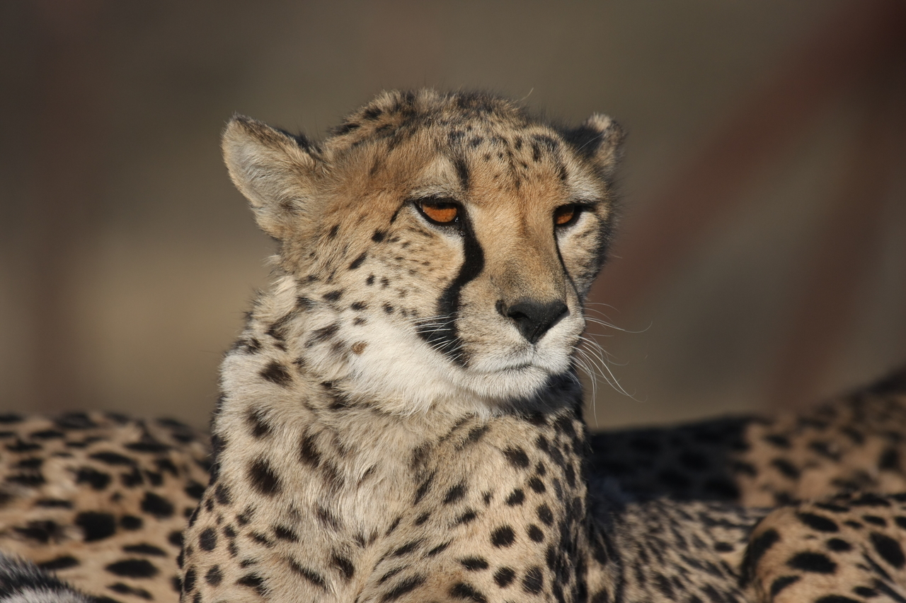 [7197] 2016_06_23_11_21_10_Africa_Canon_EOS_40D_IMG__01445.jpg