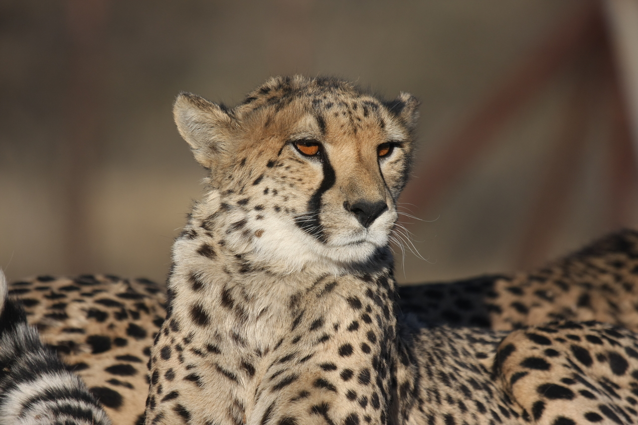 [7208] 2016_06_23_11_21_21_Africa_Canon_EOS_40D_IMG__01449.jpg