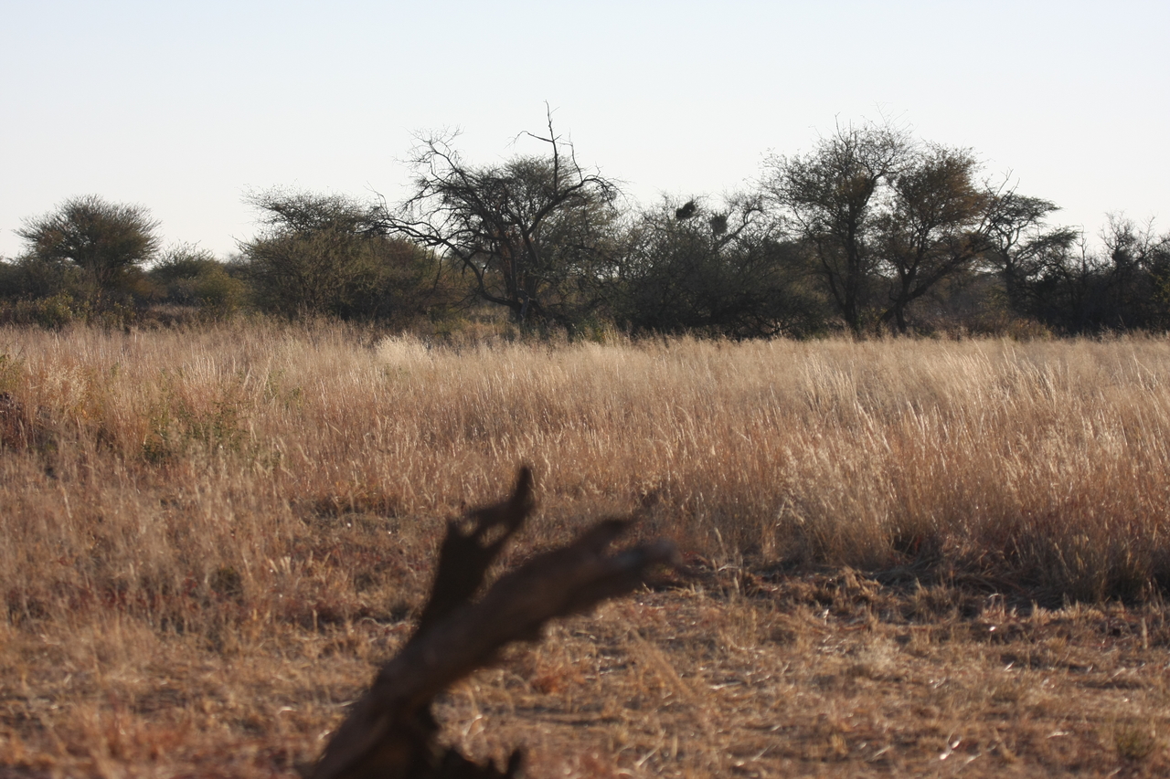 [7217] 2016_06_23_11_33_18_Africa_Canon_EOS_40D_IMG__08897.jpg