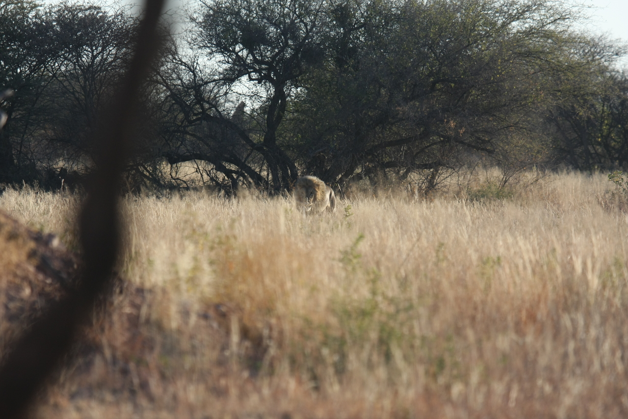 [7222] 2016_06_23_11_38_31_Africa_Canon_EOS_40D_IMG__00619.jpg