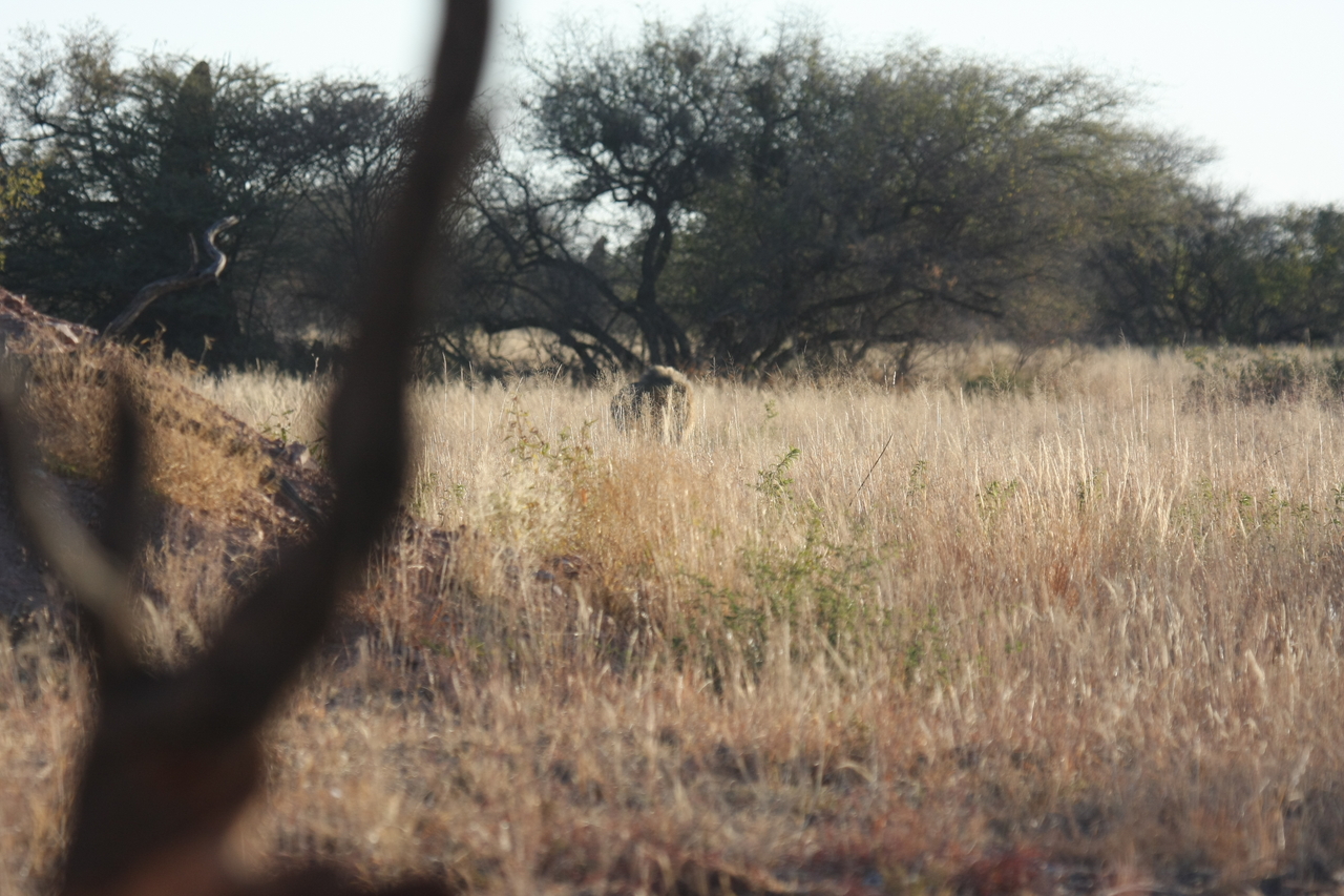 [7228] 2016_06_23_11_38_44_Africa_Canon_EOS_40D_IMG__00621.jpg