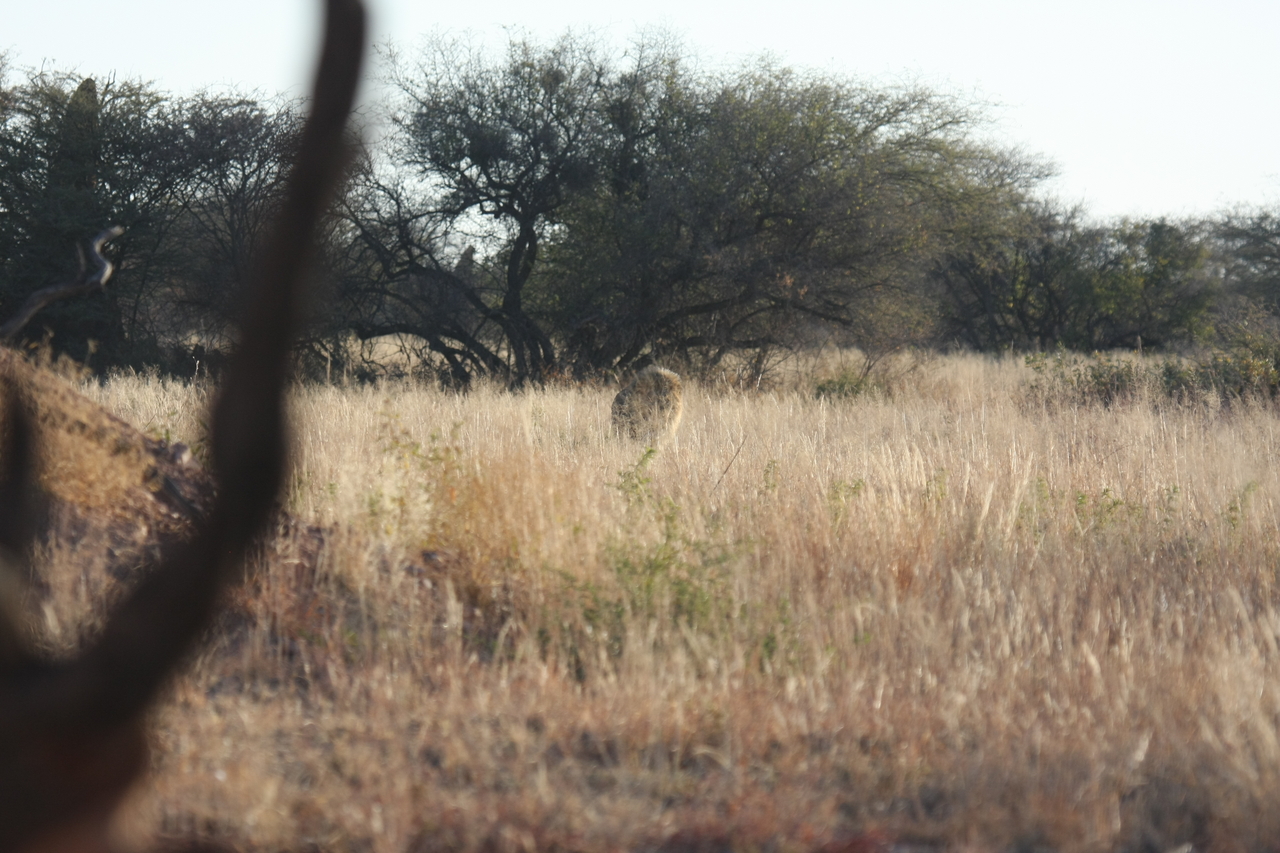 [7236] 2016_06_23_11_38_48_Africa_Canon_EOS_40D_IMG__00623.jpg