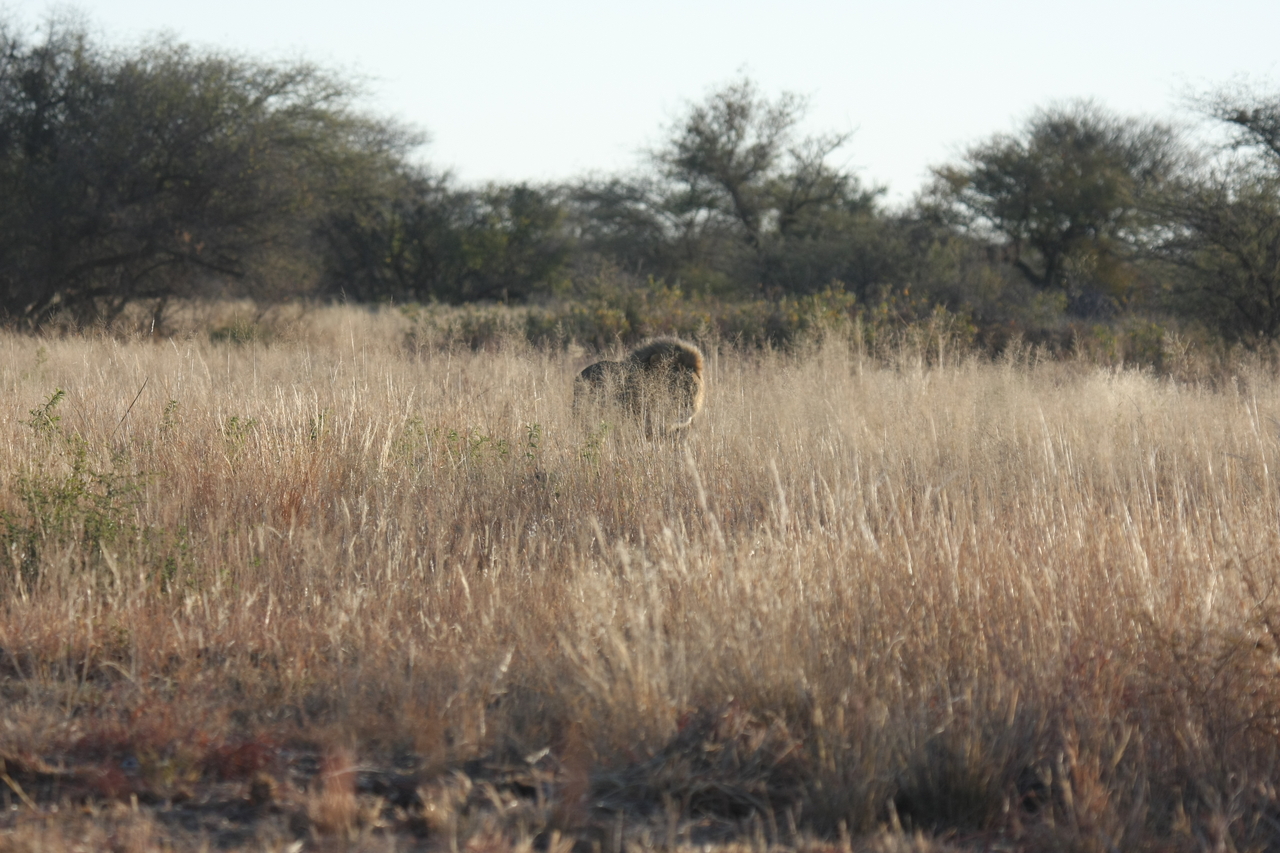[7255] 2016_06_23_11_39_04_Africa_Canon_EOS_40D_IMG__01463.jpg