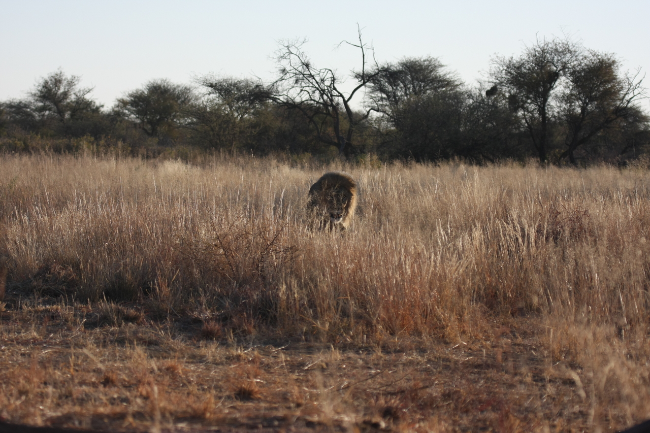 [7287] 2016_06_23_11_39_16_Africa_Canon_EOS_40D_IMG__08919.jpg