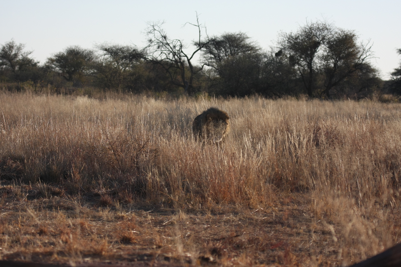 [7292] 2016_06_23_11_39_17_Africa_Canon_EOS_40D_IMG__01475.jpg