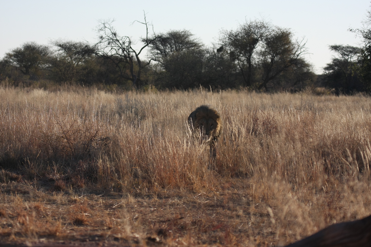 [7298] 2016_06_23_11_39_18_Africa_Canon_EOS_40D_IMG__08924.jpg