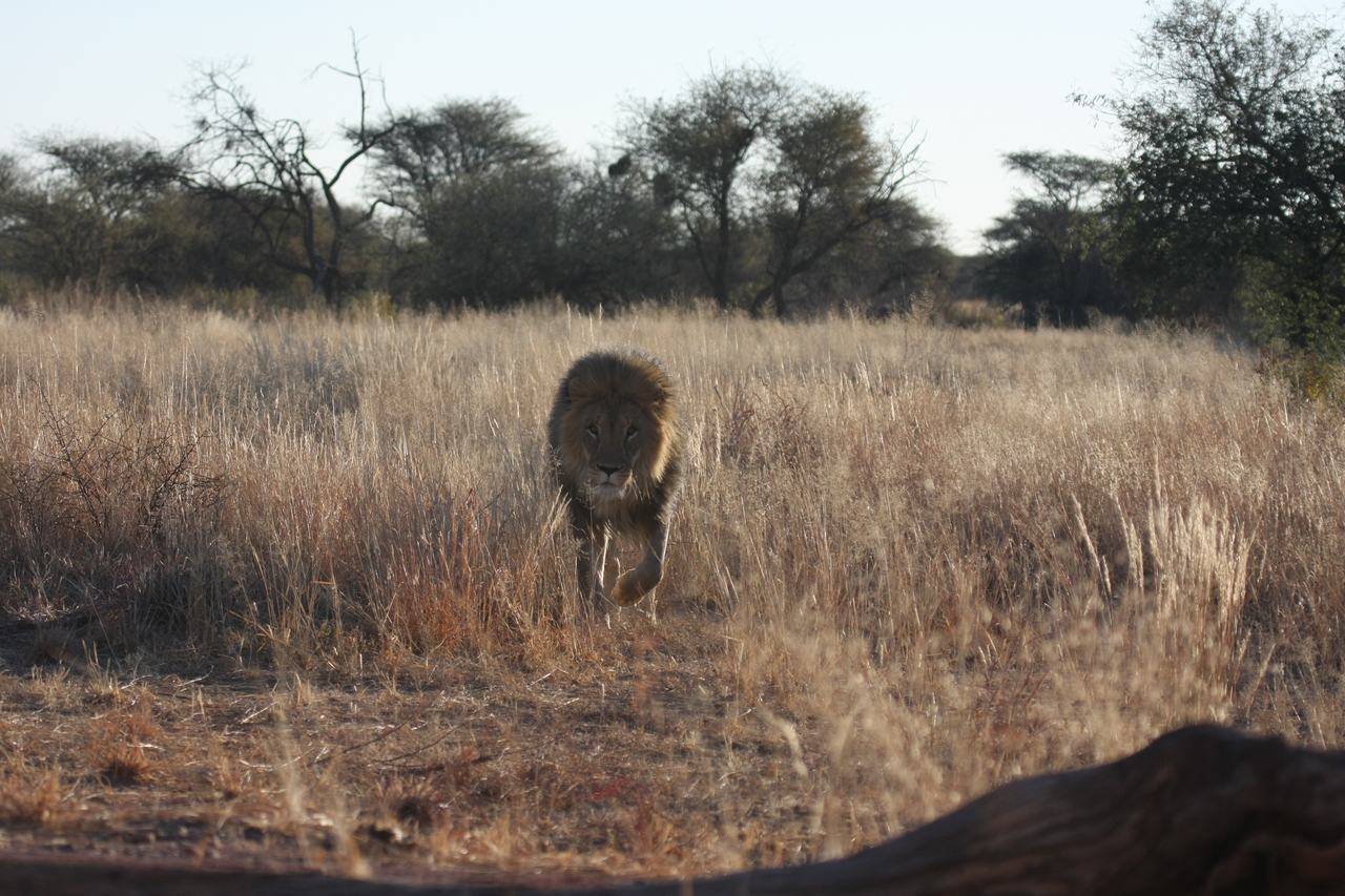 [7299] 2016_06_23_11_39_20_Africa_Canon_EOS_40D_IMG__00644.jpg