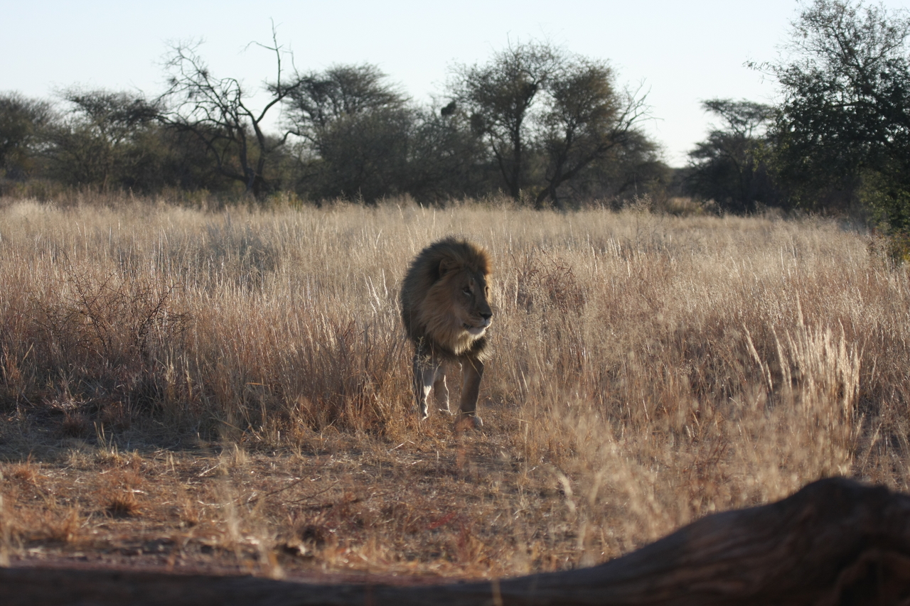 [7307] 2016_06_23_11_39_20_Africa_Canon_EOS_40D_IMG__08927.jpg