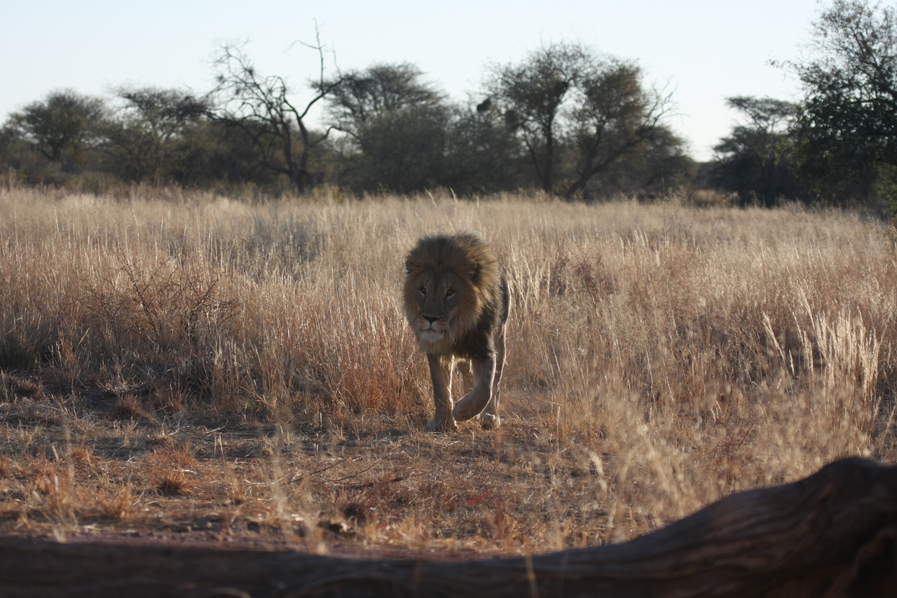[7321] 2016_06_23_11_39_22_Africa_Canon_EOS_40D_IMG__08931.jpg