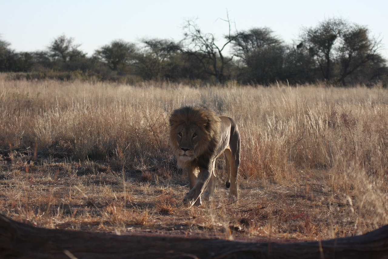 [7324] 2016_06_23_11_39_23_Africa_Canon_EOS_40D_IMG__01486.jpg