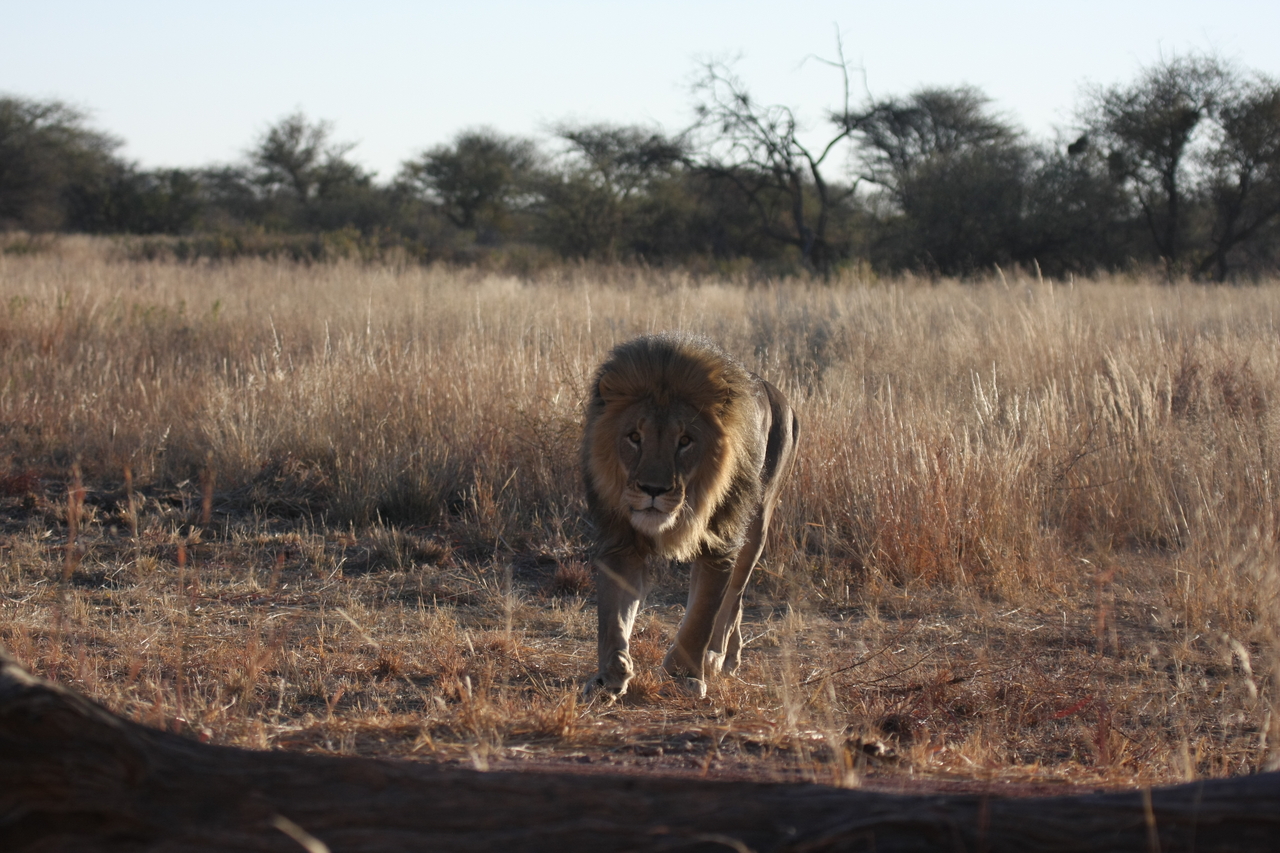 [7329] 2016_06_23_11_39_24_Africa_Canon_EOS_40D_IMG__01487.jpg