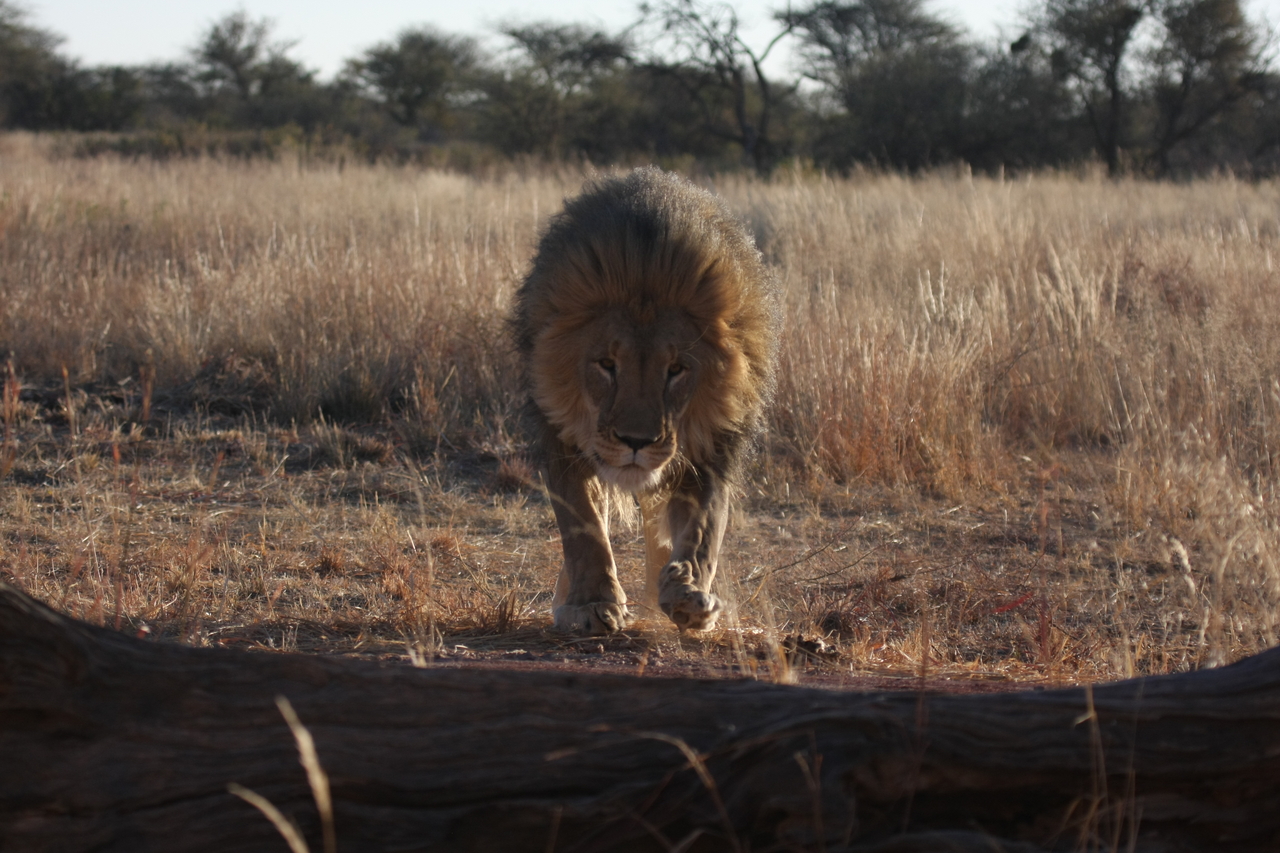 [7339] 2016_06_23_11_39_25_Africa_Canon_EOS_40D_IMG__01491.jpg