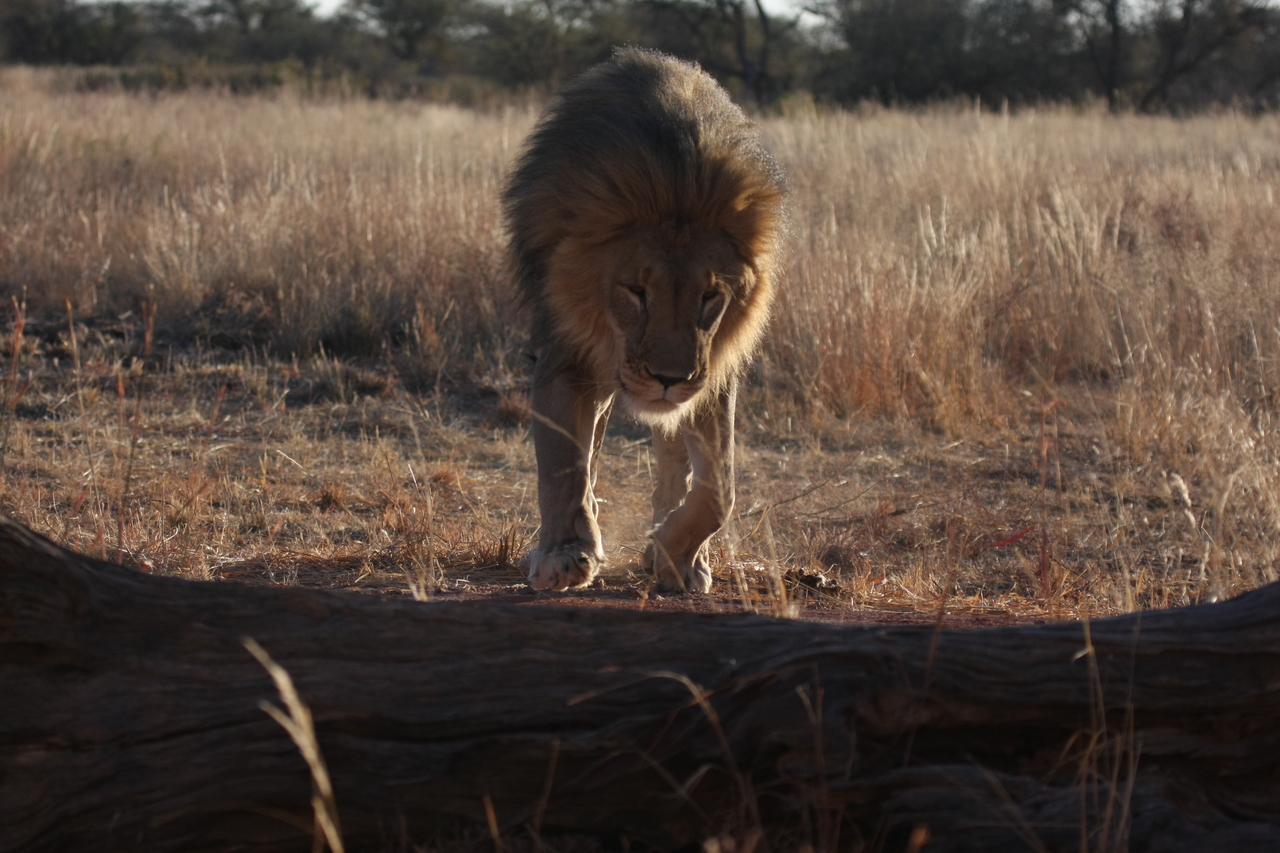 [7340] 2016_06_23_11_39_25_Africa_Canon_EOS_40D_IMG__01492.jpg