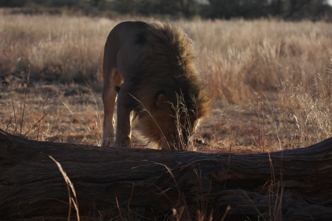 [7349] 2016_06_23_11_39_26_Africa_Canon_EOS_40D_IMG__08941.jpg