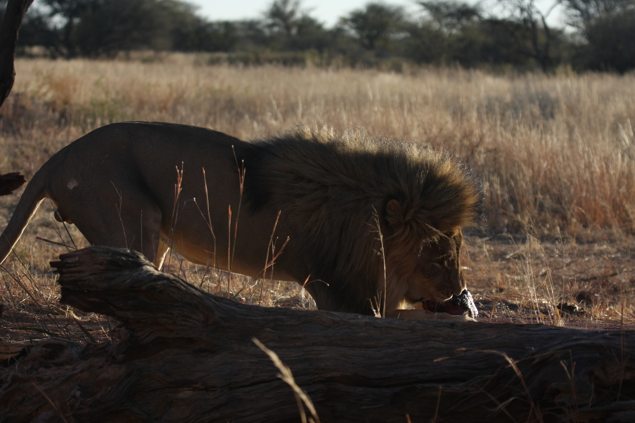 [7364] 2016_06_23_11_39_32_Africa_Canon_EOS_40D_IMG__08946.jpg