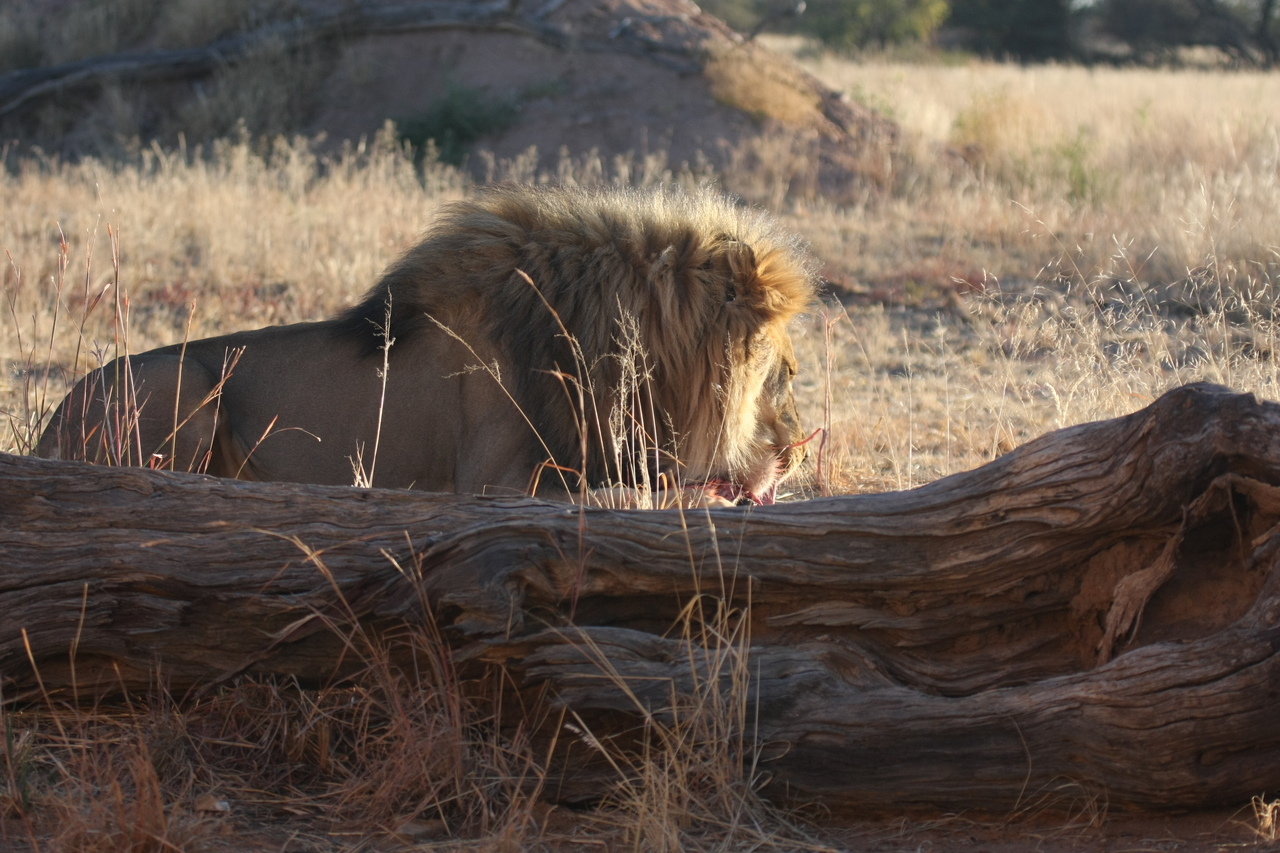 [7369] 2016_06_23_11_39_51_Africa_Canon_EOS_40D_IMG__00668.jpg