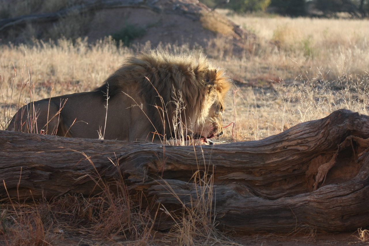 [7370] 2016_06_23_11_39_51_Africa_Canon_EOS_40D_IMG__00669.jpg