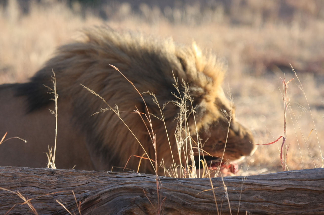 [7379] 2016_06_23_11_40_05_Africa_Canon_EOS_40D_IMG__01504.jpg
