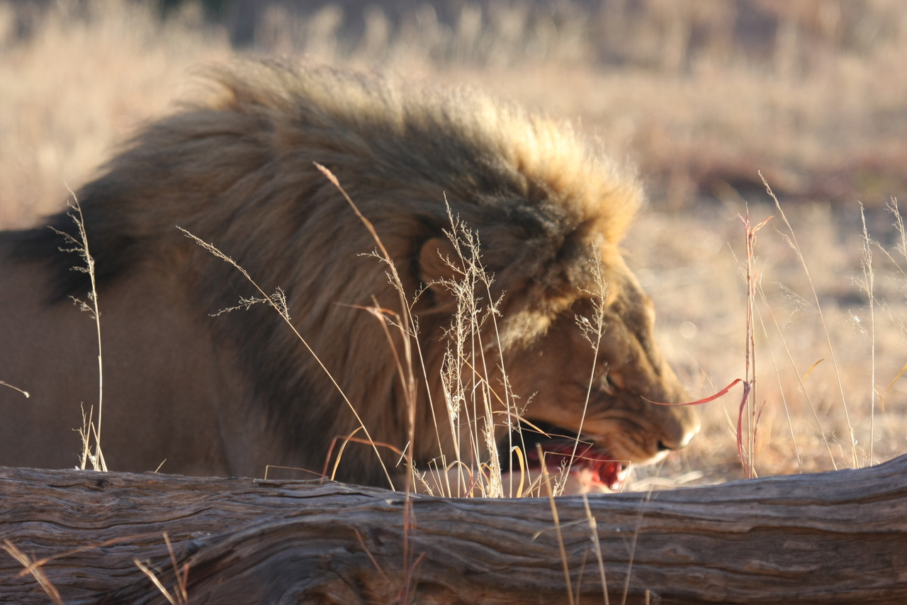 [7386] 2016_06_23_11_40_09_Africa_Canon_EOS_40D_IMG__01507.jpg