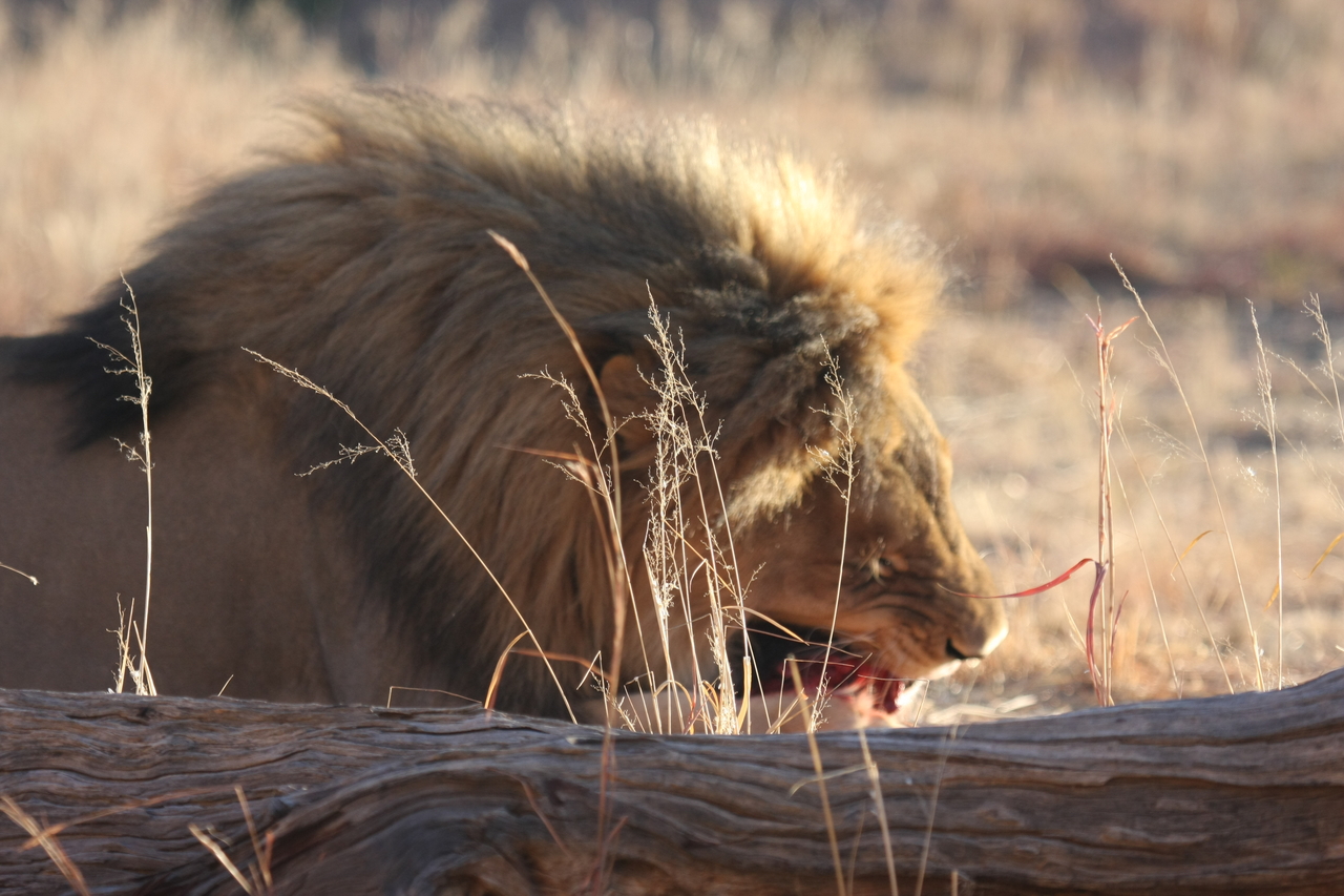 [7387] 2016_06_23_11_40_09_Africa_Canon_EOS_40D_IMG__08953.jpg