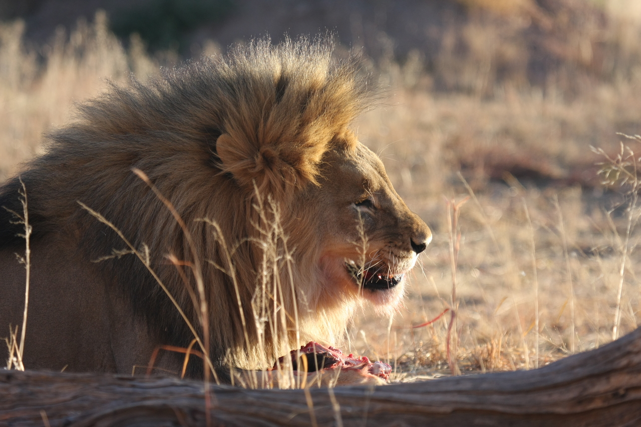 [7459] 2016_06_23_11_40_49_Africa_Canon_EOS_40D_IMG__08975.jpg