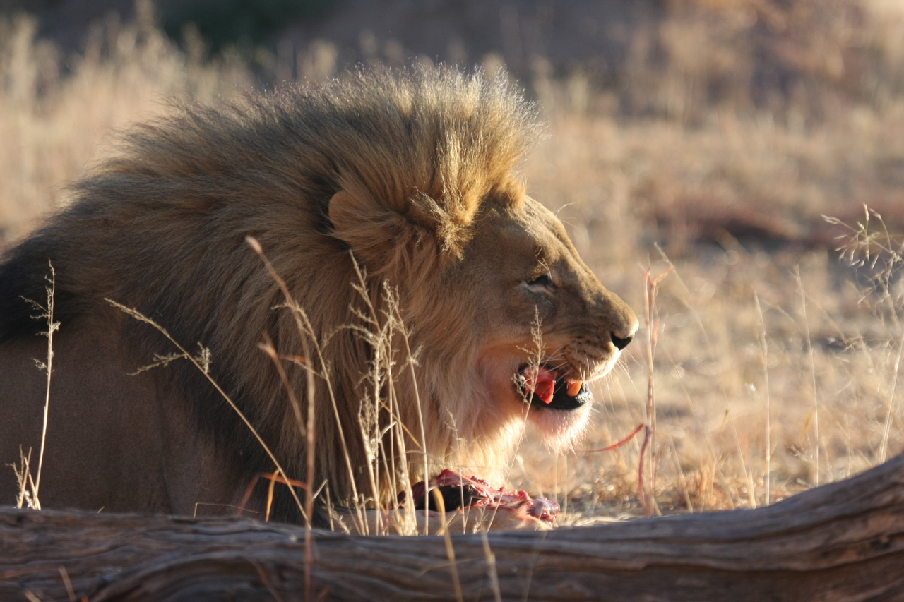 [7462] 2016_06_23_11_40_50_Africa_Canon_EOS_40D_IMG__00697.jpg