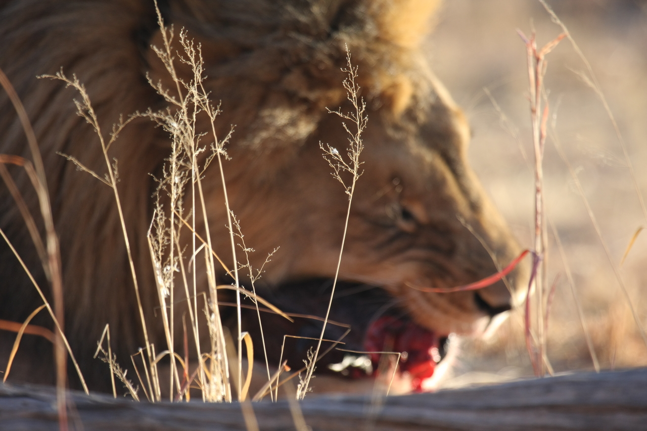[7502] 2016_06_23_11_41_07_Africa_Canon_EOS_40D_IMG__01543.jpg
