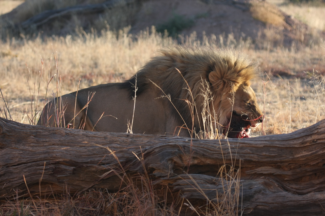 [7551] 2016_06_23_11_41_58_Africa_Canon_EOS_40D_IMG__01557.jpg