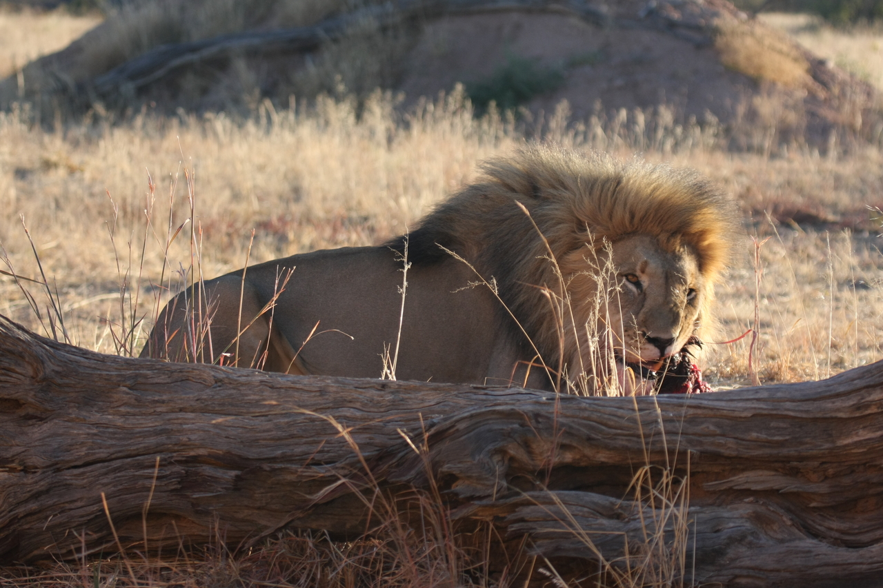 [7560] 2016_06_23_11_42_04_Africa_Canon_EOS_40D_IMG__01561.jpg