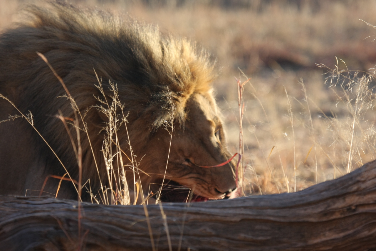 [7566] 2016_06_23_11_42_19_Africa_Canon_EOS_40D_IMG__01562.jpg