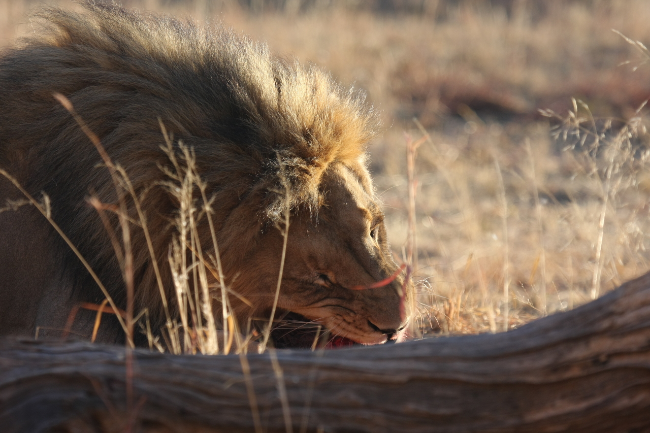 [7568] 2016_06_23_11_42_19_Africa_Canon_EOS_40D_IMG__01564.jpg