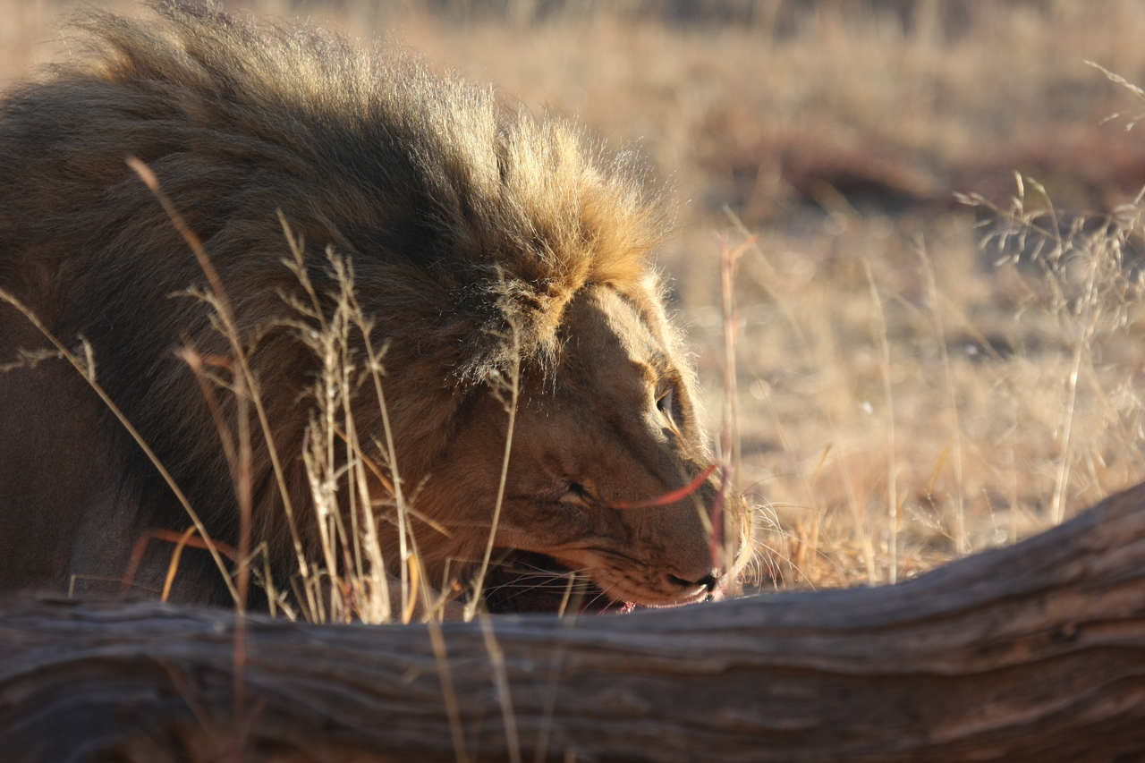 [7570] 2016_06_23_11_42_19_Africa_Canon_EOS_40D_IMG__09010.jpg