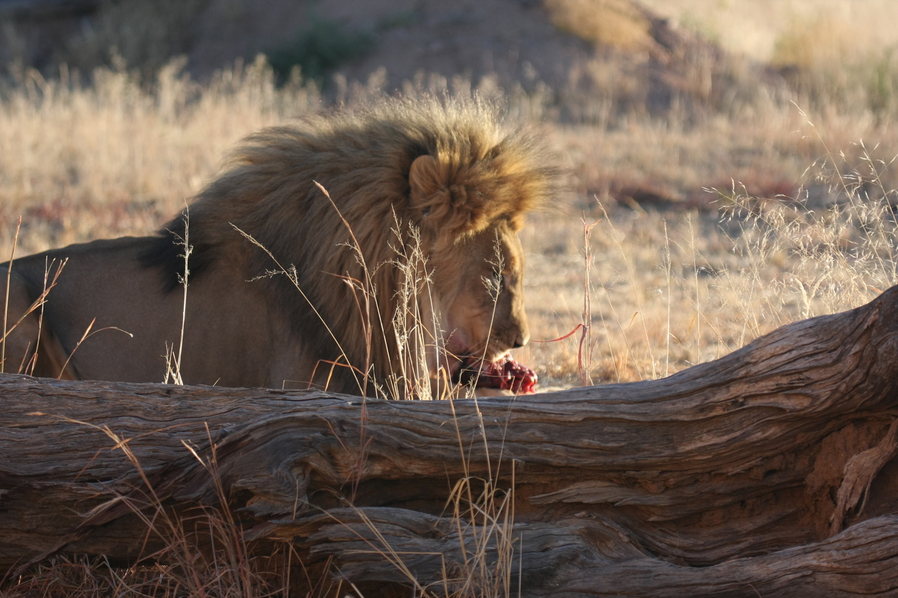[7580] 2016_06_23_11_42_39_Africa_Canon_EOS_40D_IMG__09014.jpg