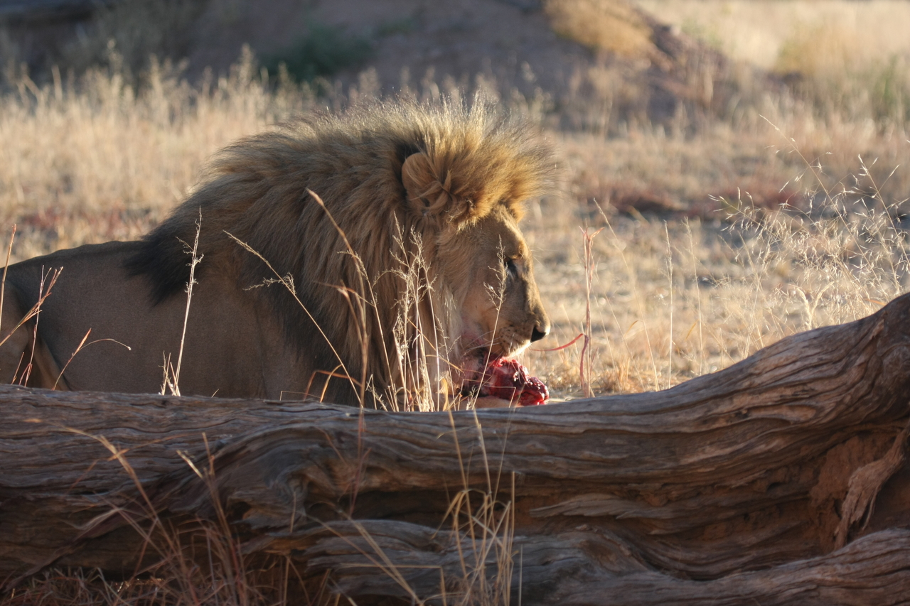 [7584] 2016_06_23_11_42_46_Africa_Canon_EOS_40D_IMG__01569.jpg