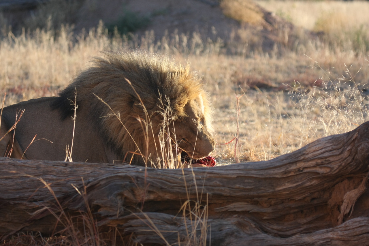[7593] 2016_06_23_11_42_50_Africa_Canon_EOS_40D_IMG__09017.jpg