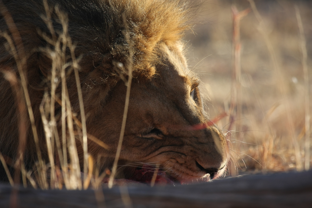 [7621] 2016_06_23_11_43_17_Africa_Canon_EOS_40D_IMG__00748.jpg